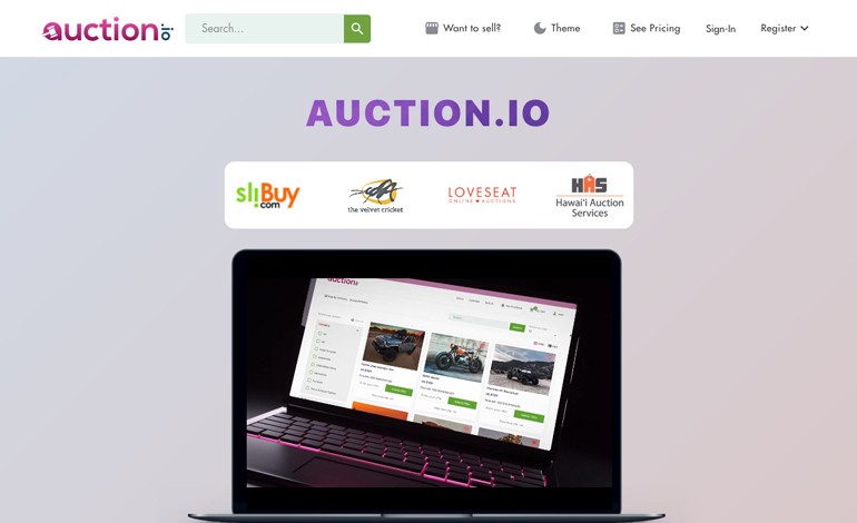 Online Auctions