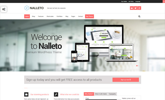 Nalleto Multipurpose Responsive Ecommerce Theme