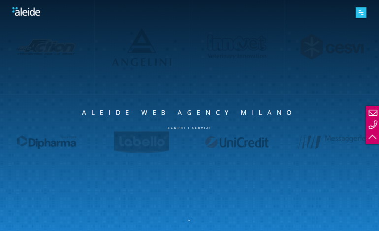 Aleide Web Agency