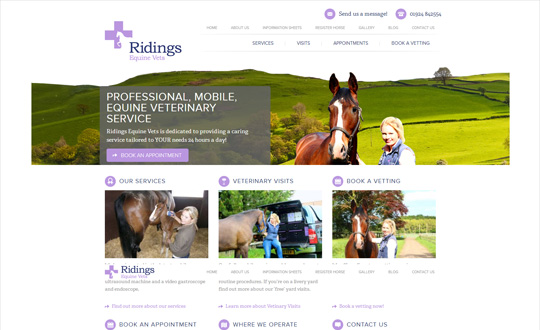 Ridings Equine Vets