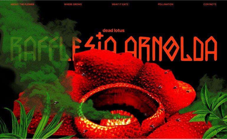 Rafflesia Arnolda