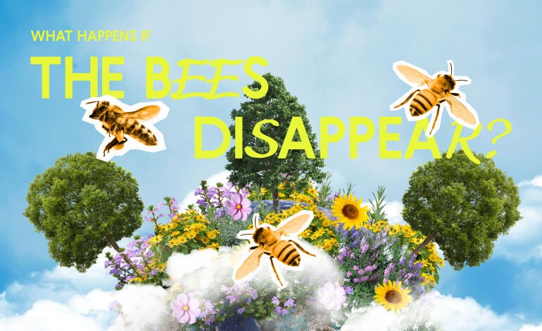 World without bees