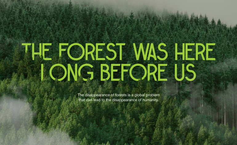 The forest is the lungs of our planet