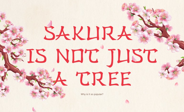 Sakura tree