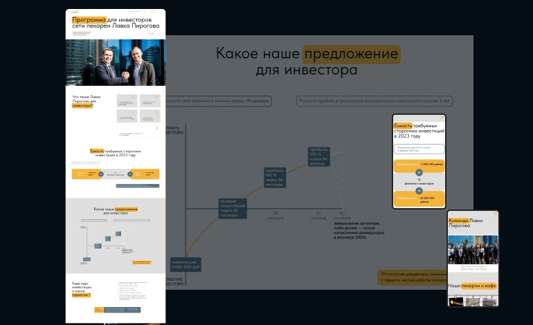 Investment program presentation