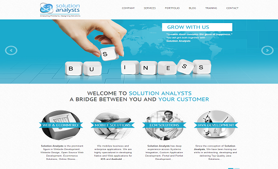 Solution Analysts