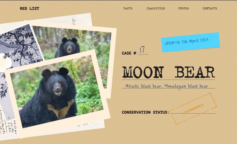 Moon Bear