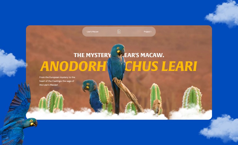 The Mystery of Lears Macaw 
