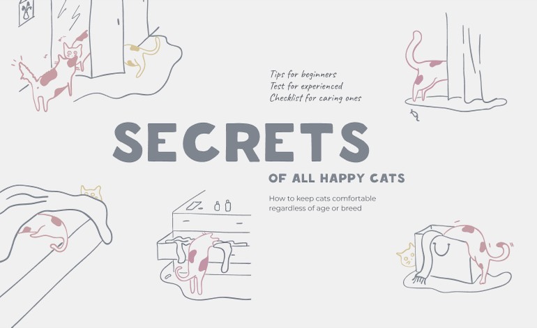 Secrets of happy cats