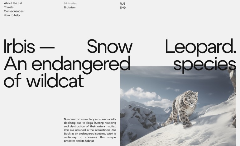 Irbis Snow Leopard