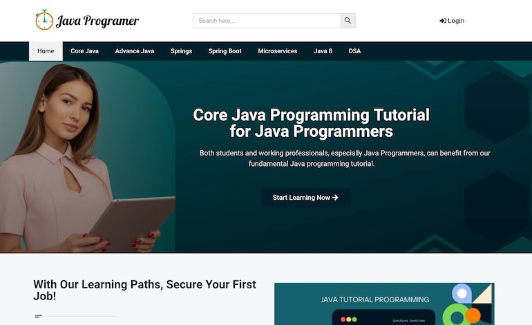 Java Programer