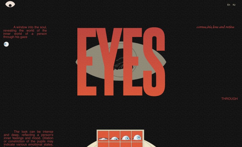 About Eyes