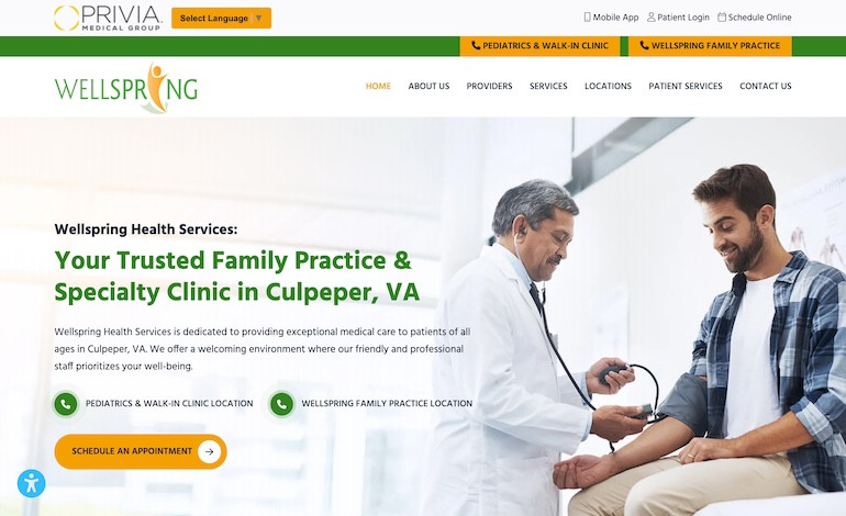 Wellspring Health Services