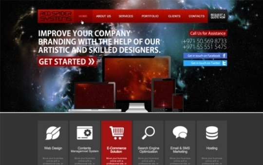 RedSpider Web  Art Design