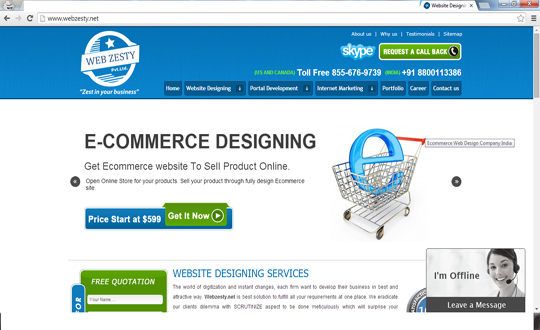 Website Designing and Web Development Company in India