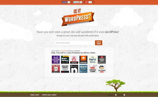 Is it WordPress