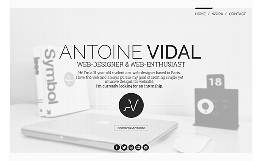 Antoine Vidal 2014 Portfolio