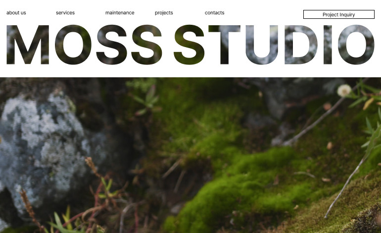 Moss Studio