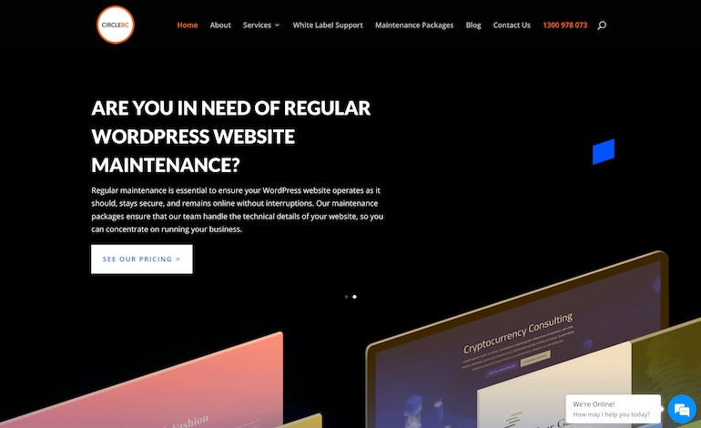Wordpress Website Suppot