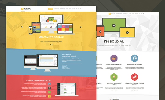 Boldial WP   Flat Creative Theme  