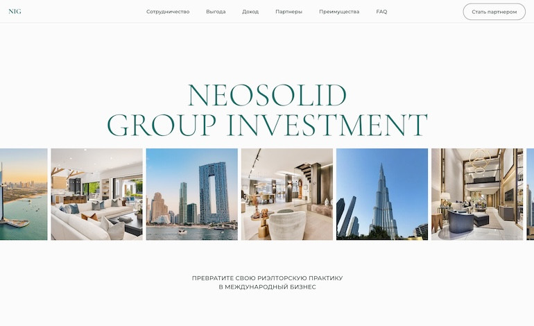 NeoSolid Investment Group
