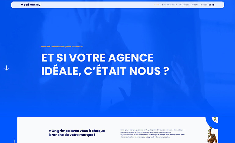 Agence Bad Monkey
