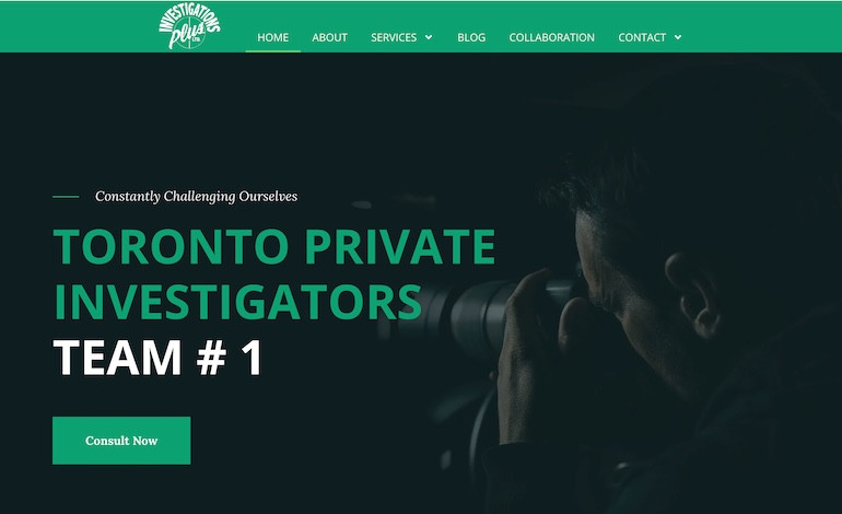 Investigation Plus Ltd