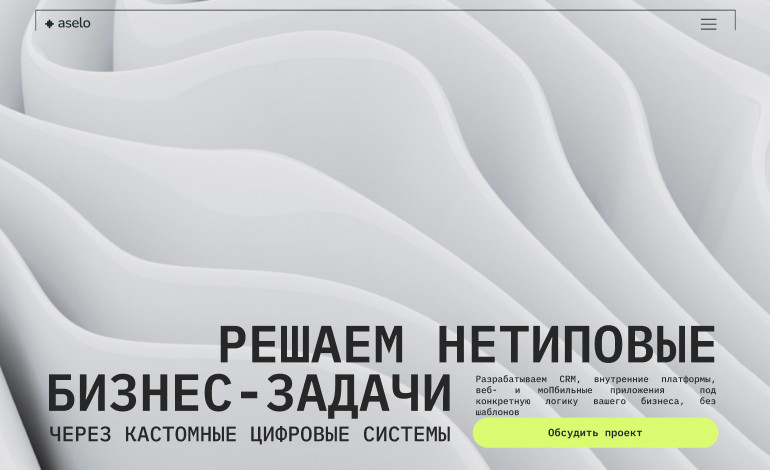 IT company Aselo
