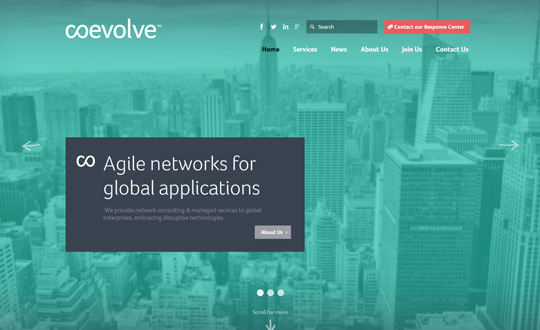 Coevolve Agile Networks for Global Applications