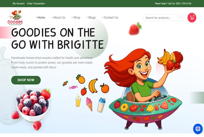 Goodies On The Go With Brigitte