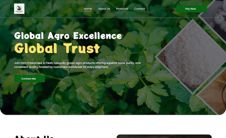 Juhi Exim Enterprises