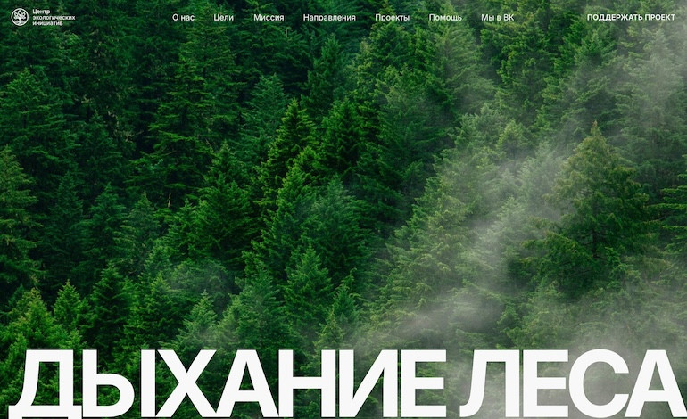 Breath of the Forest