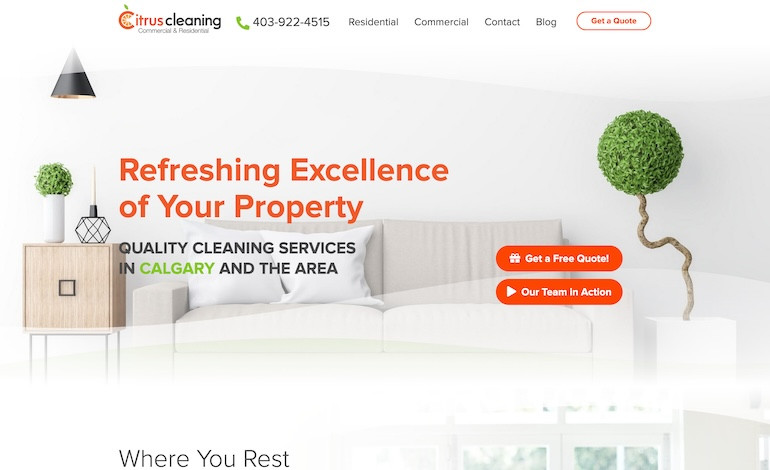 Citrus Cleaning