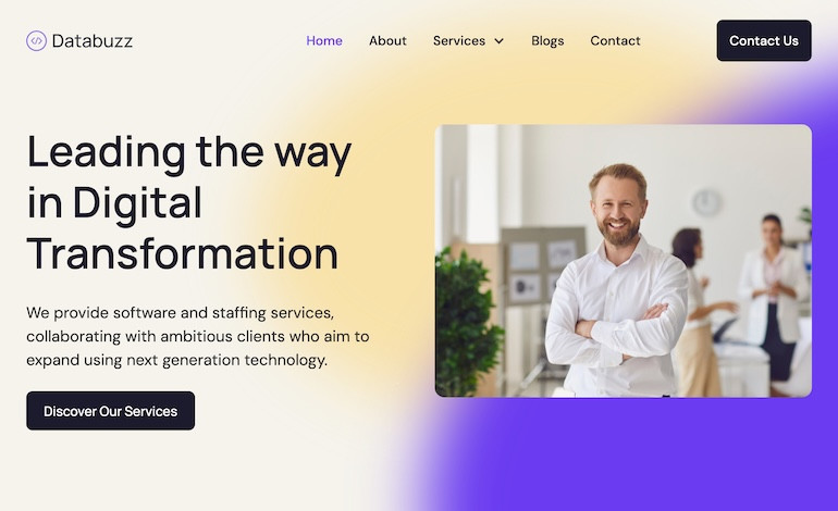Databuzz Ltd