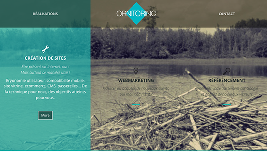Ornitorinc agence web