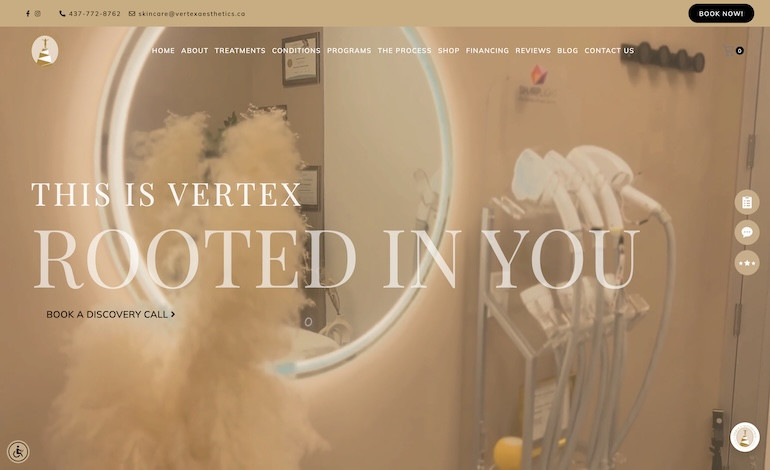 Vertex Aesthetics