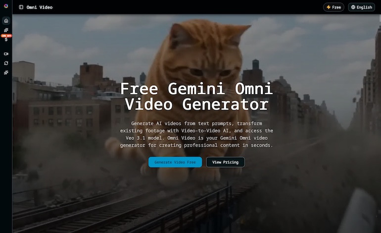 Omni Video