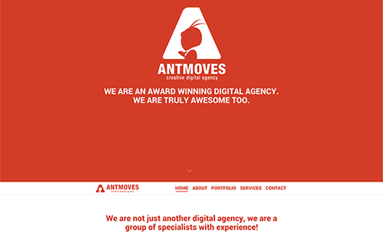 AntMoves creative digital agency