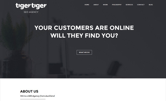 Tiger Tiger SEO Agency