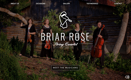 Briar Rose Strings