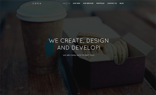 Casia Minimal Wordpress Theme