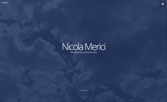 Nicola Merici Portfolio