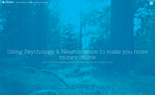 Neuro Web Marketing