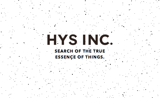 HYS INC