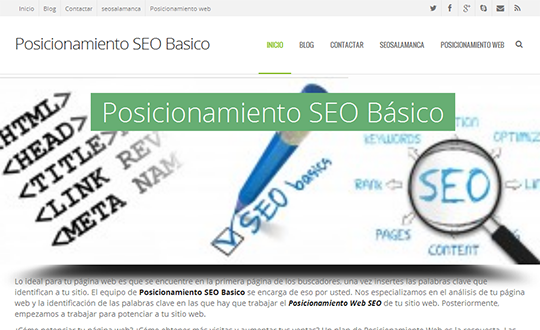 SEOBasico