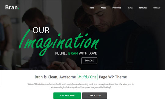 Bran Multi One Page WordPress Theme