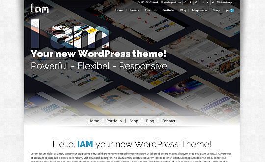 IAM WordPress