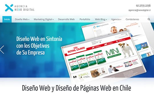 Diseno Web Agencia Nexo Digital