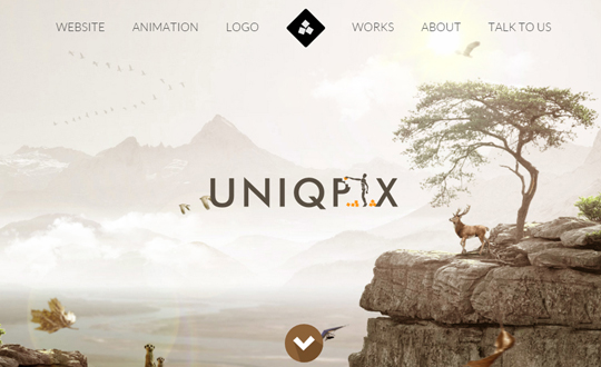 Uniqpix Creative Studio