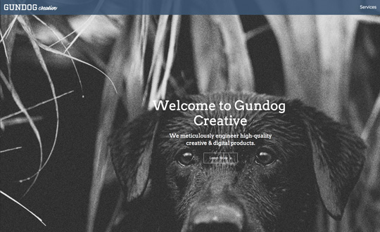 Gundog Creative Agency